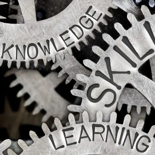 Custom elearning development